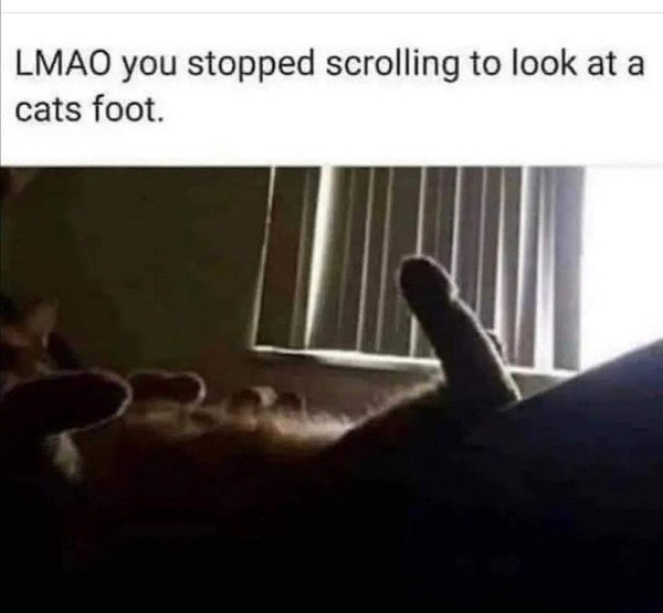 4 Foto Ini Menguji Otak Kotormu, Nggak Percaya